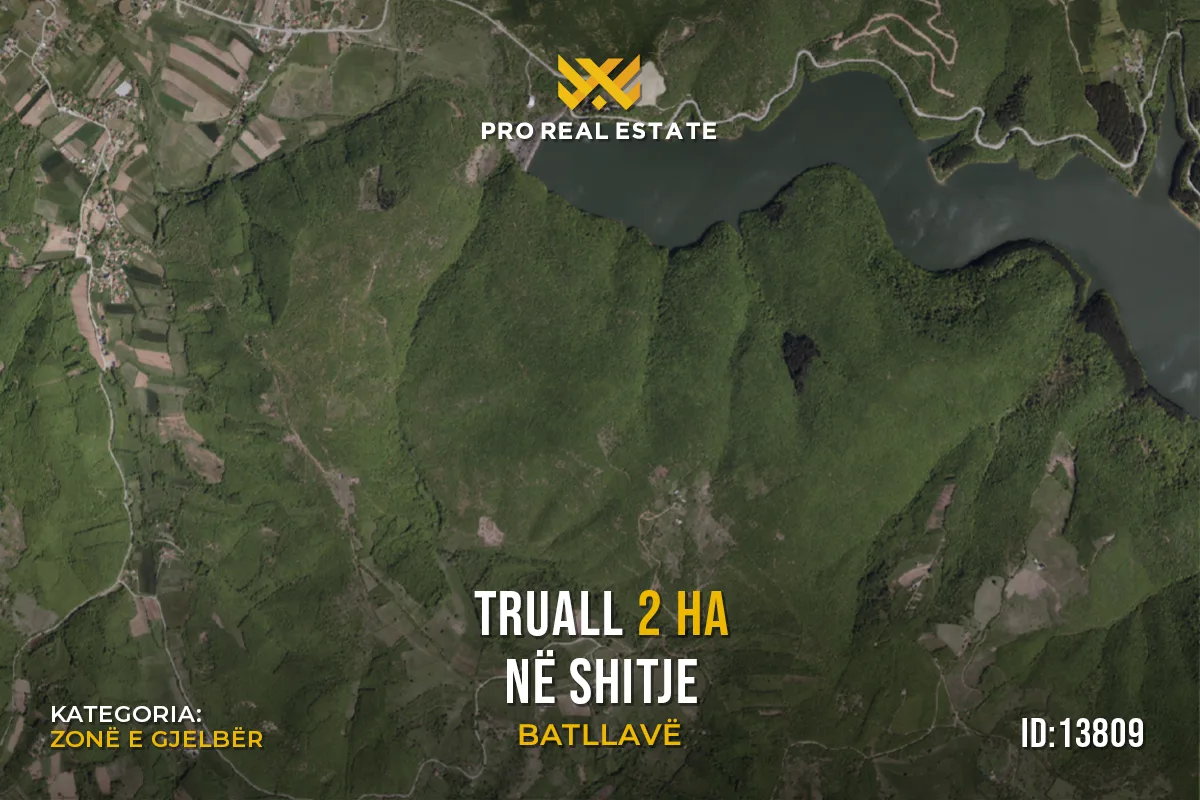 Truall 2 Ha për #SHITJE në Batllavë
