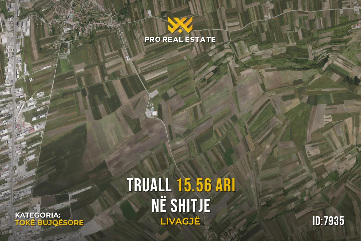 Truall 15.56 Ari për #SHITJE në Livagjë
