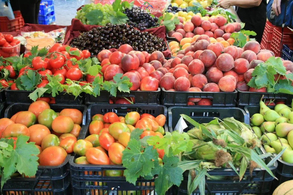 Shitje Biznesi Fruta Perime ne Yzberisht (ID BSHB144) Tirane