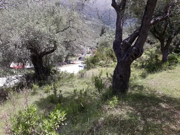 Shiten 1800m2 truall në fshatin sasaj, himarë