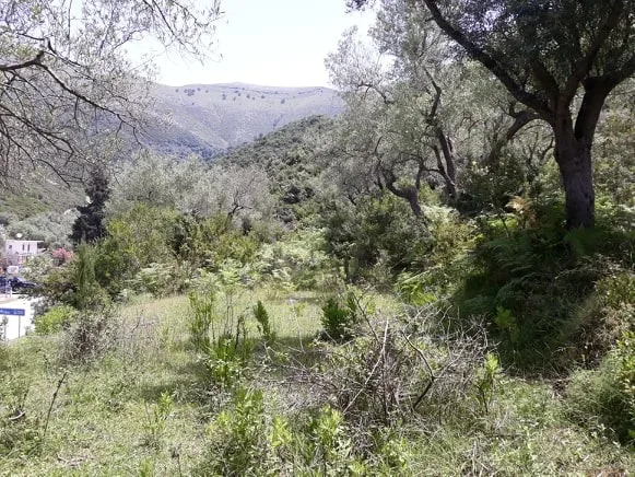 Shiten 1800m2 truall në fshatin sasaj, himarë