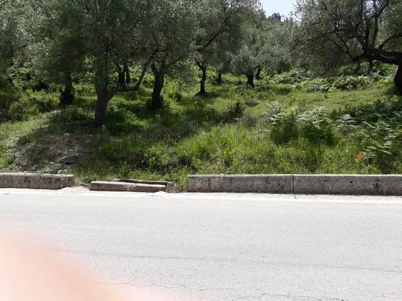 Shiten 1800m2 truall në fshatin sasaj, himarë