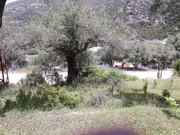Shiten 1800m2 truall në fshatin sasaj, himarë