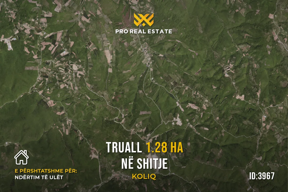 Truall 1.28 Ha në #SHITJE në Koliq
