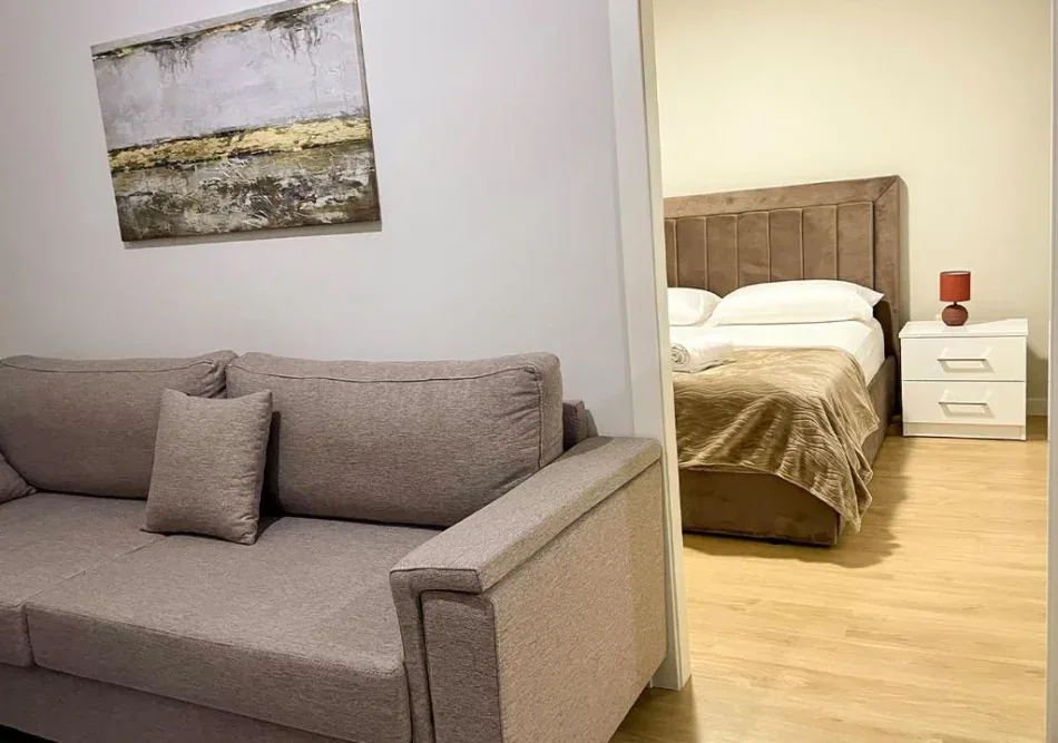 Vile Me Qera 1+1 Tek Zogu i Zi (ID BV22606) Tirane