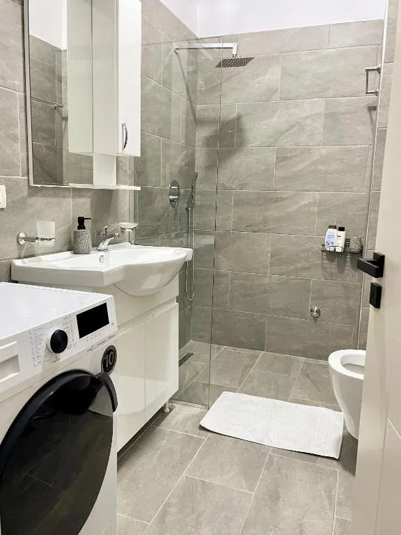 Vile Me Qera 1+1 Tek Zogu i Zi (ID BV22606) Tirane