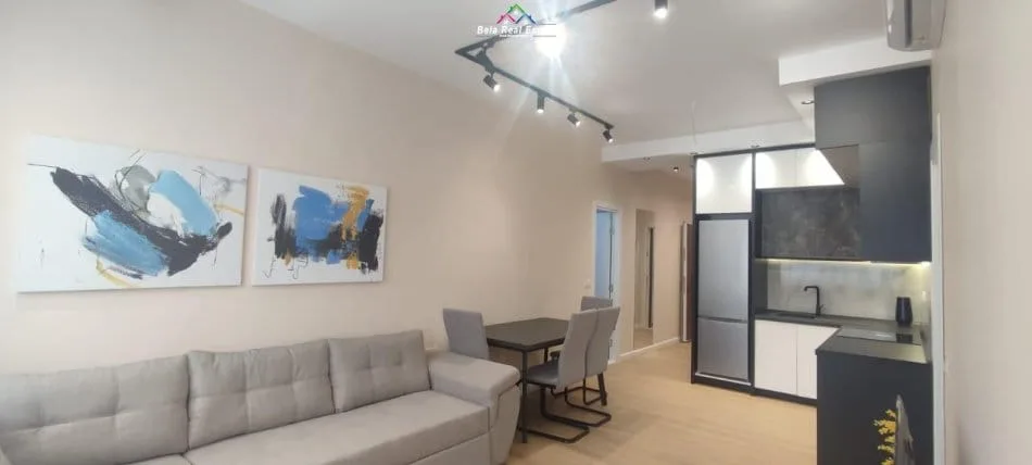 Apartamente Ne Shitje 2+1 Tek Rruga Dritan Hoxha (ID B120663) Tirane.​