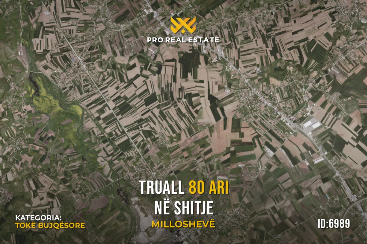 Truall 80 Ari për #SHITJE në Milloshevë