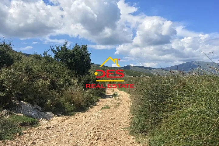 Shitet tokë në tragjas, vlorë