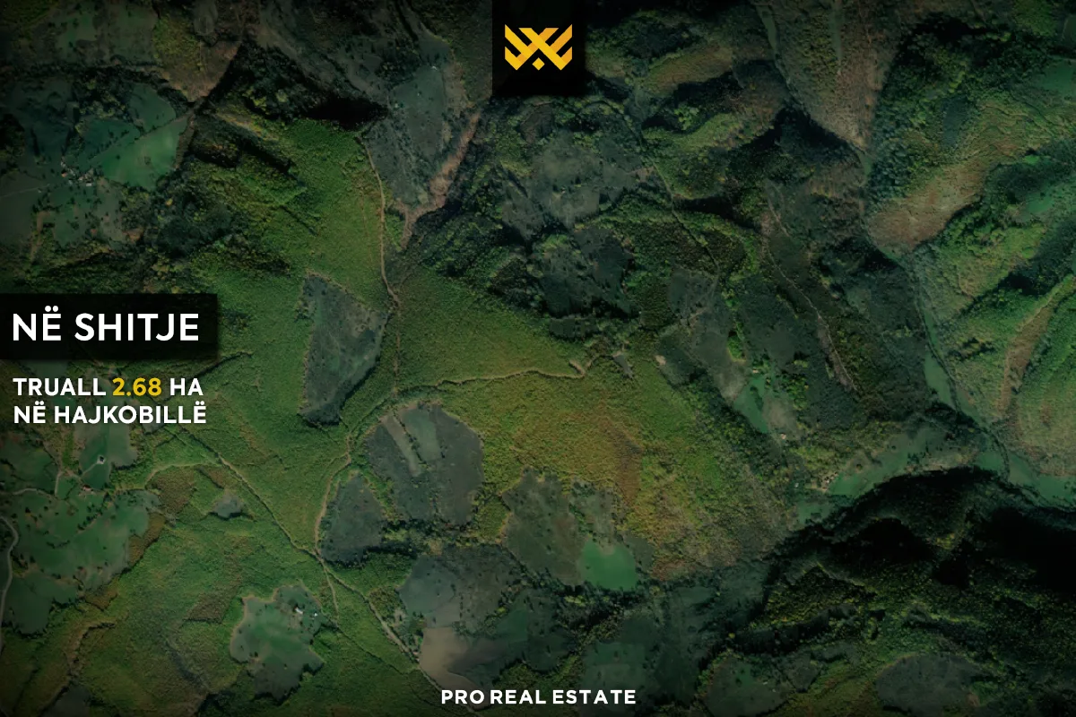 Truall 2.68 Ha për #SHITJE në Hajkobillë.