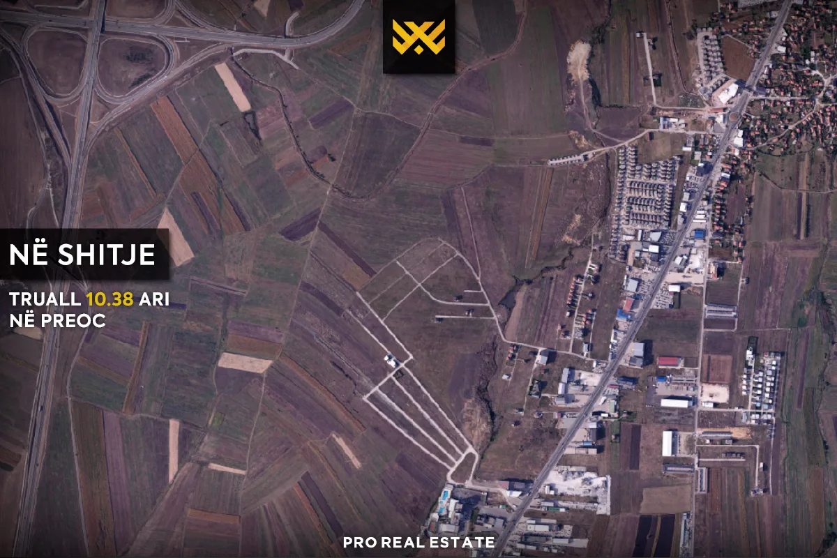 Trualli 10.38 Ari në SHITJE në Preoc.
