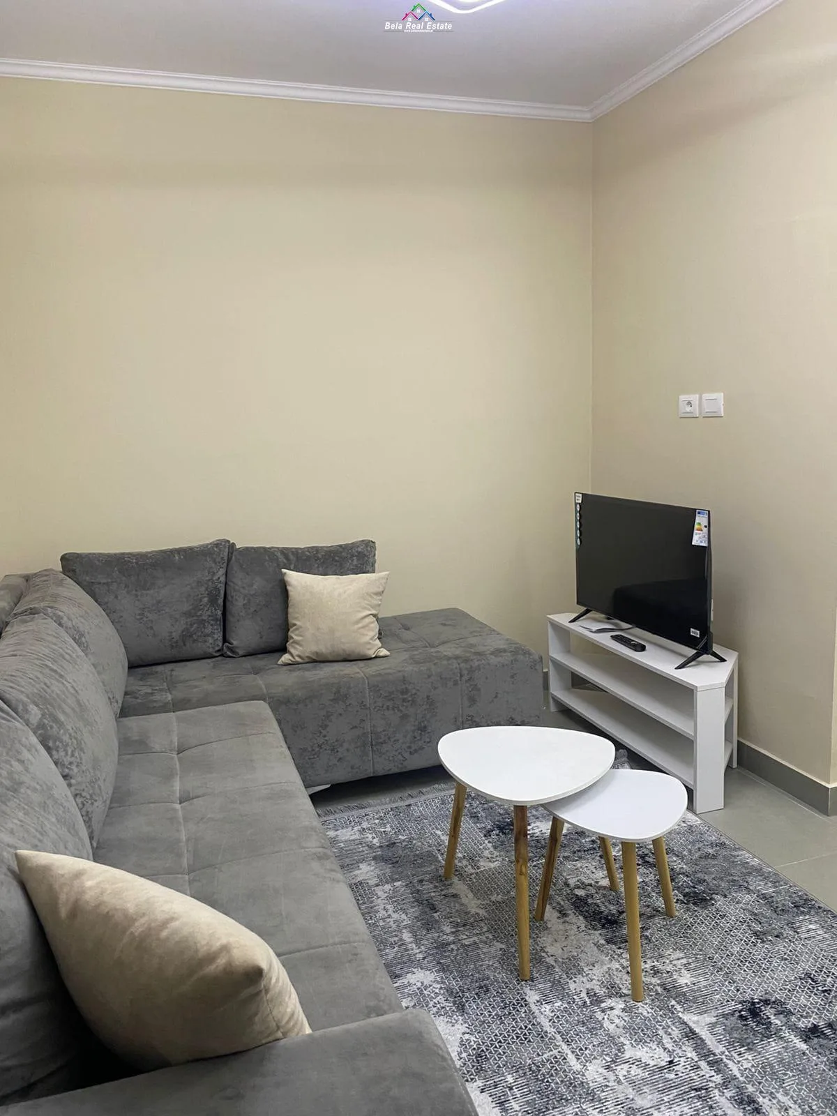 Vile Me Qera 1+1 Ne Laprake ( ID BV22540) Tirane