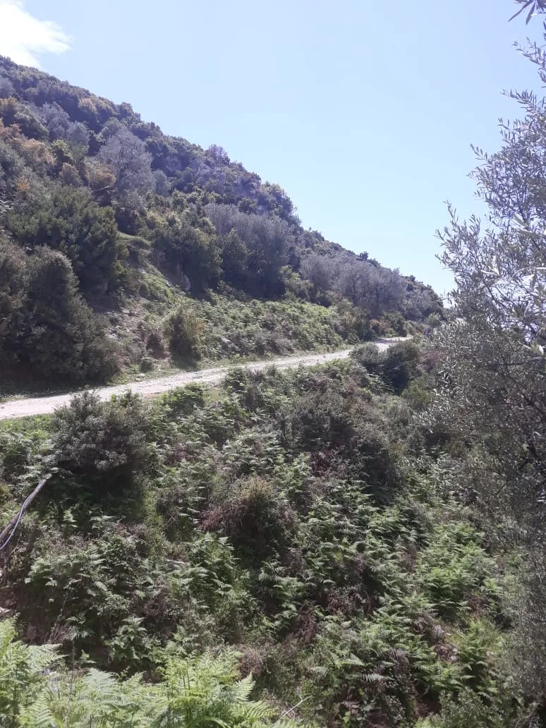 Shitet tokë bujqësore në fshatin piqeras, himarë
