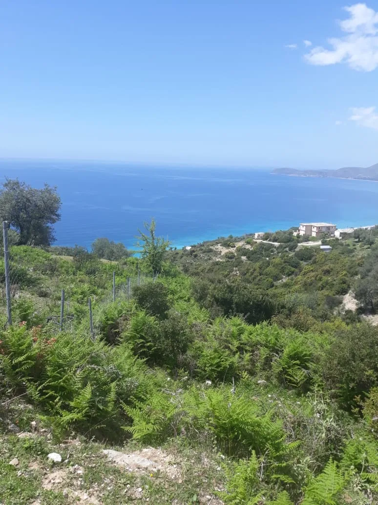 Shitet tokë bujqësore në fshatin piqeras, himarë