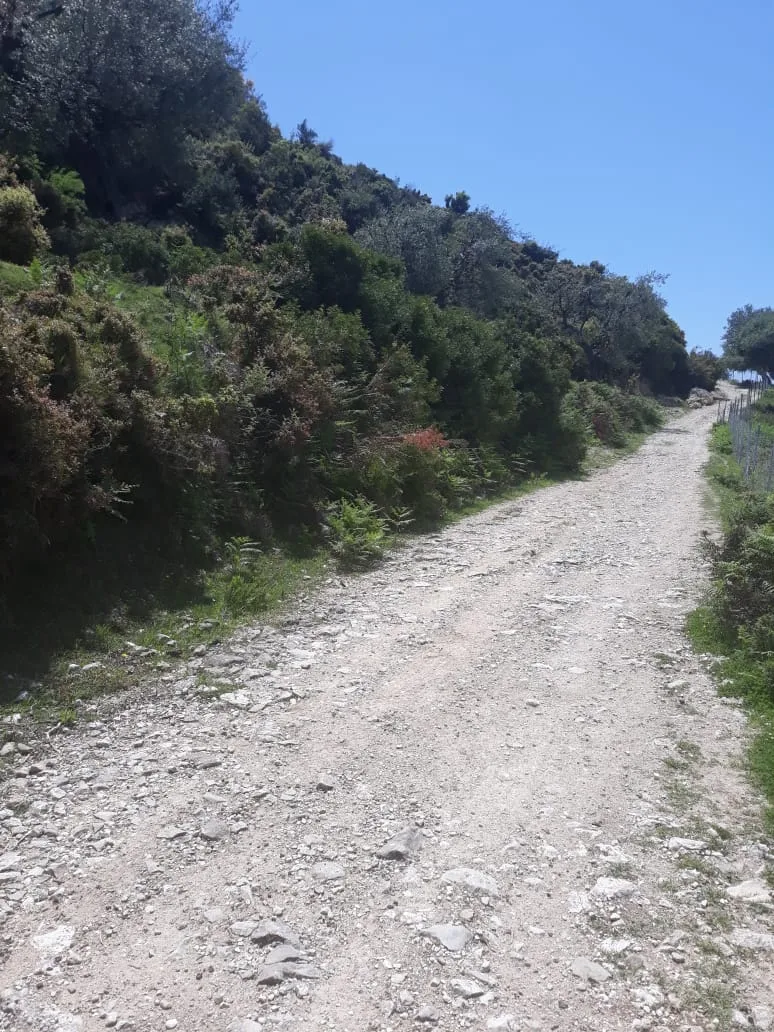 Shitet tokë bujqësore në fshatin piqeras, himarë