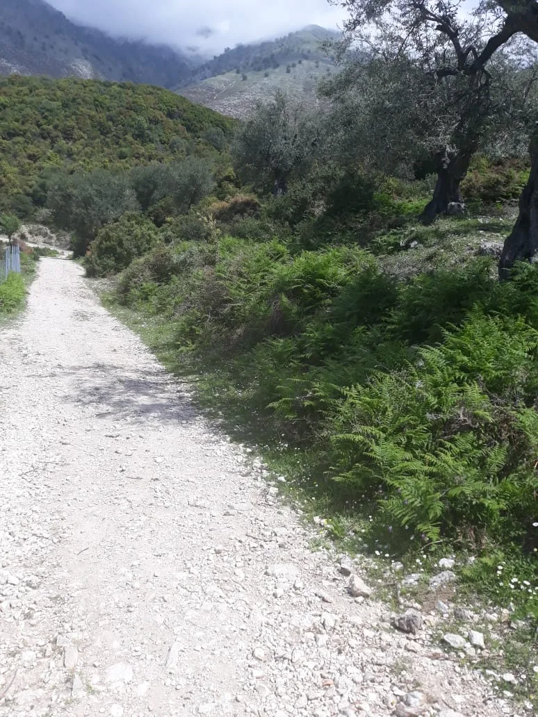 Shitet tokë bujqësore në fshatin piqeras, himarë