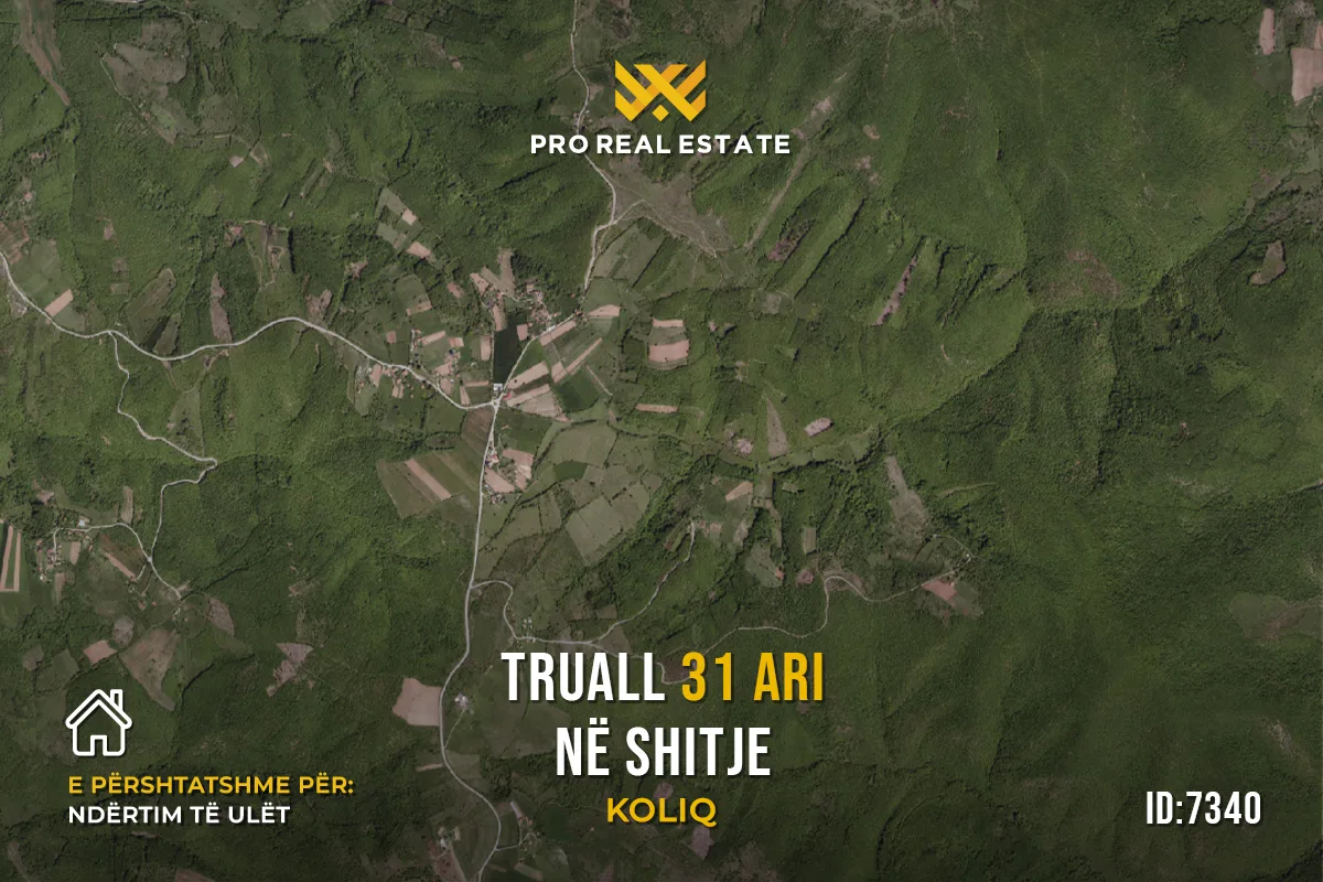 Truall 31 Ari për #SHITJE në Koliq