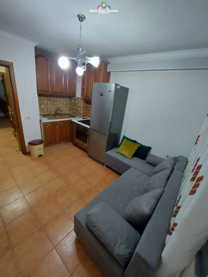 Apartament Me Qera 1+1 Ne Rrugen e Kavajes (ID B211263) Tirane.
