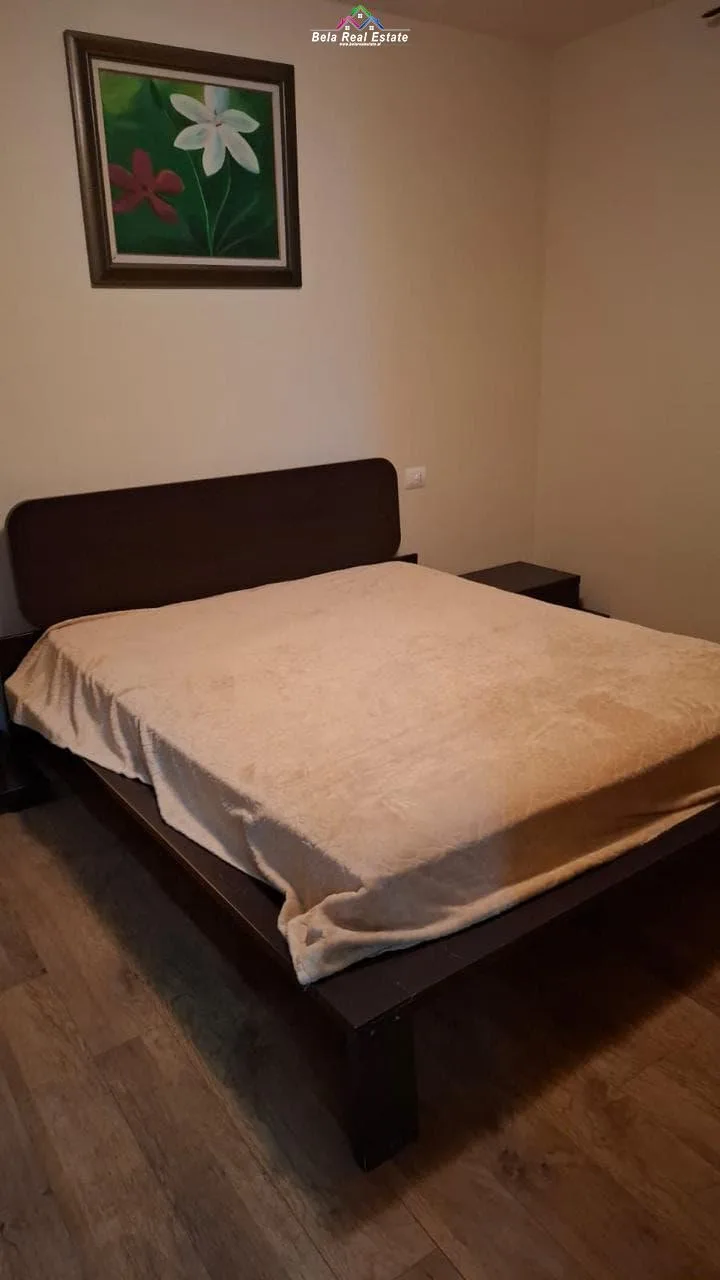 Apartamet Me Qera 1+1 ne Bllok (ID B211330) Tirane.