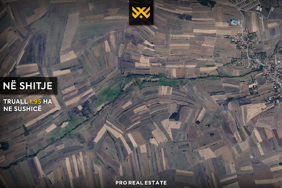 Truall 1.95 Ha për #SHITJE në Sushicë.