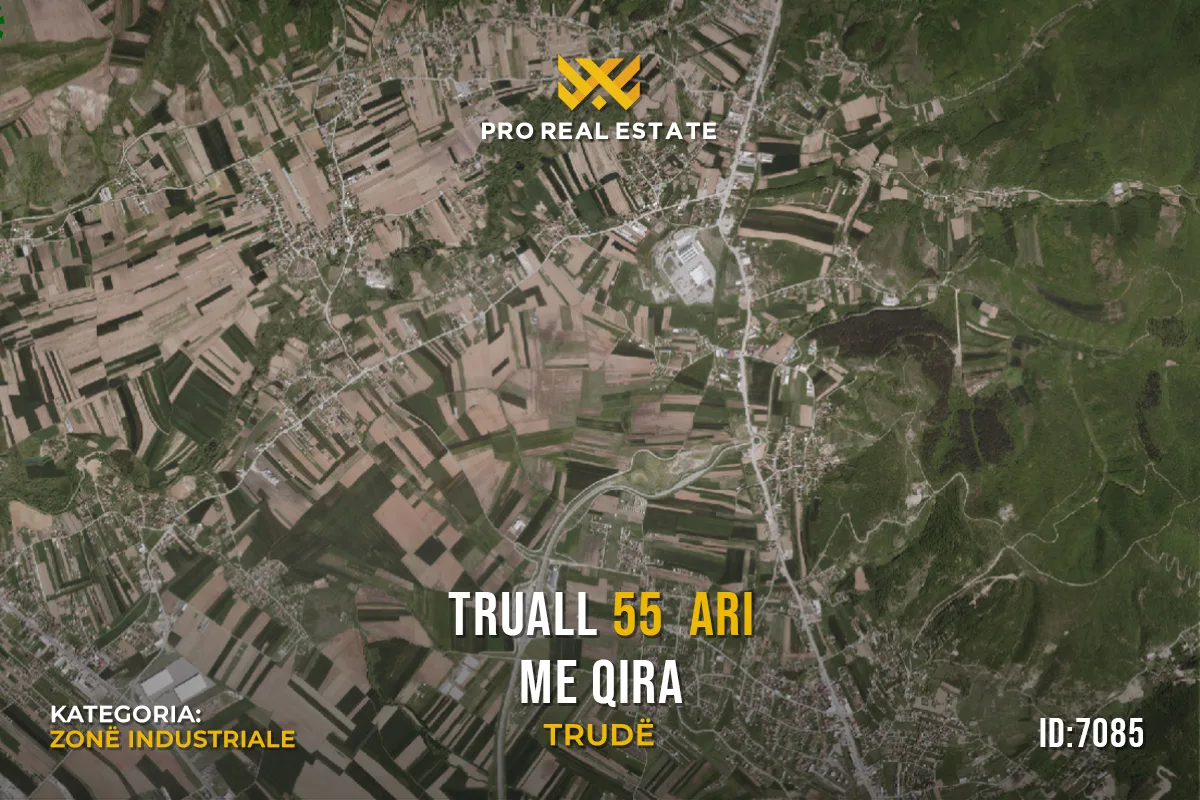 Truall 55 Ari me #QIRA në Trudë