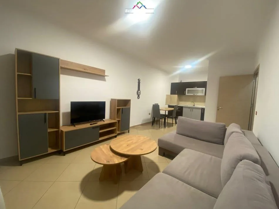 Apartament me qera 1+1 Ne Yzberisht (ID B210822) Tirane​