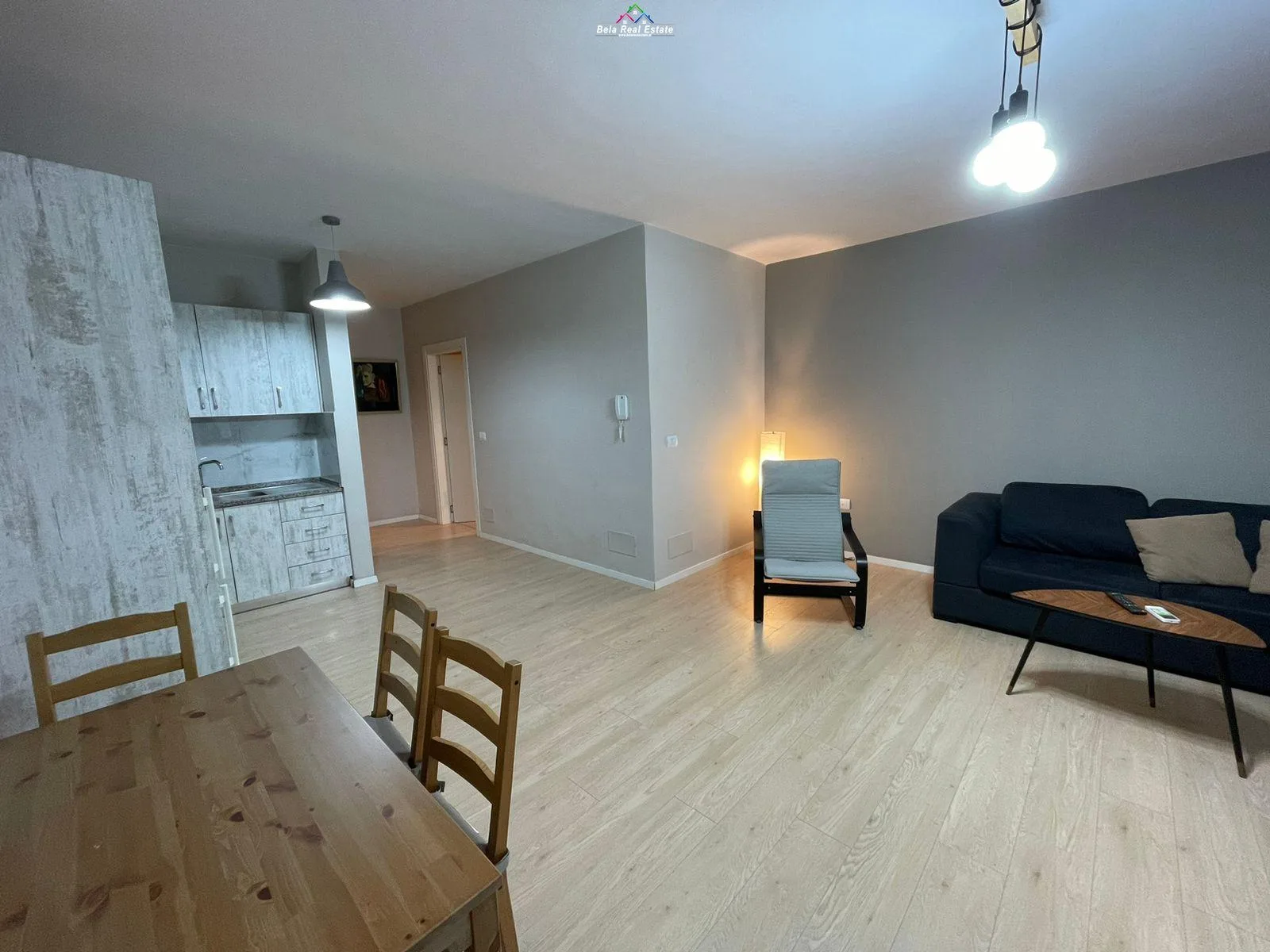 Apartament me Qera 1+1 Tek Ali Demi (ID B210325) Tirane.