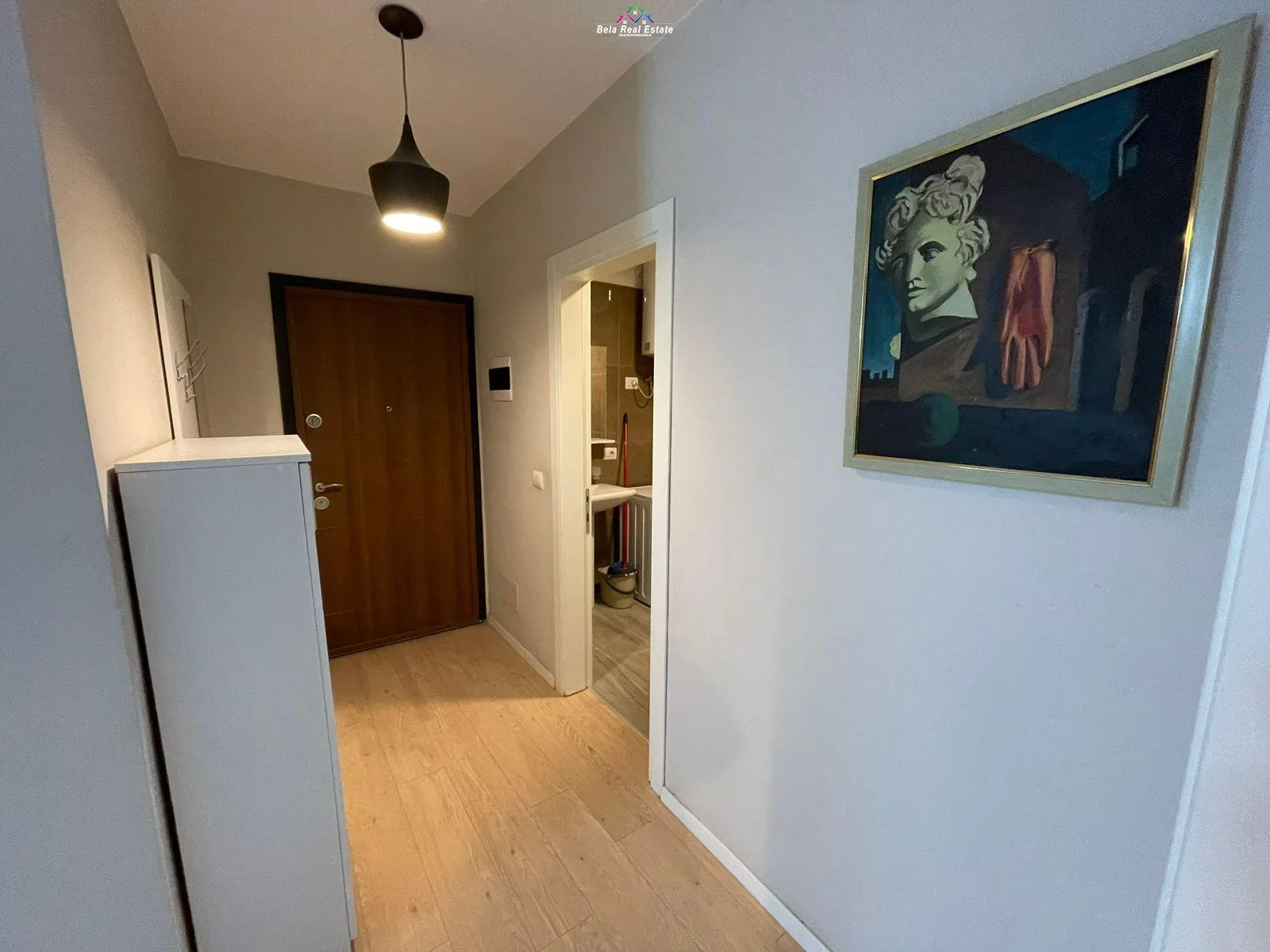 Apartament me Qera 1+1 Tek Ali Demi (ID B210325) Tirane.