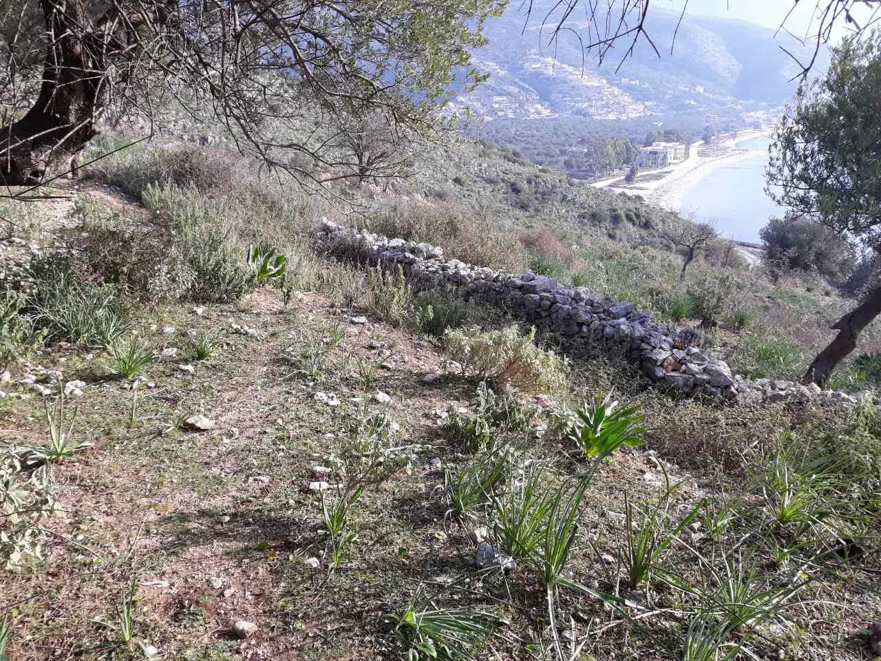 Shitet tokë në fshatin qeparo