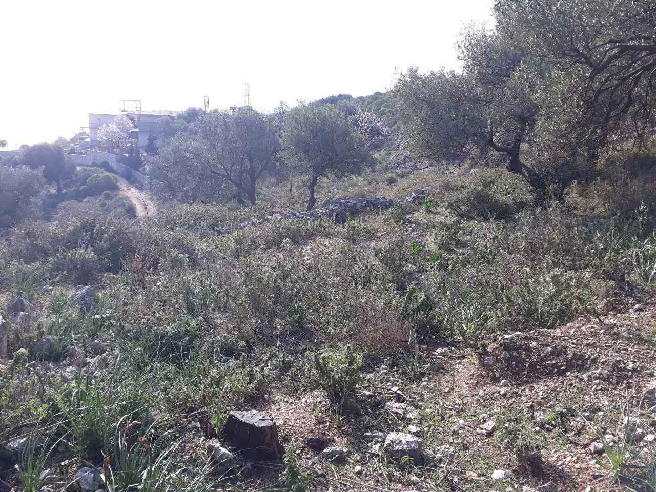 Shitet tokë në fshatin qeparo