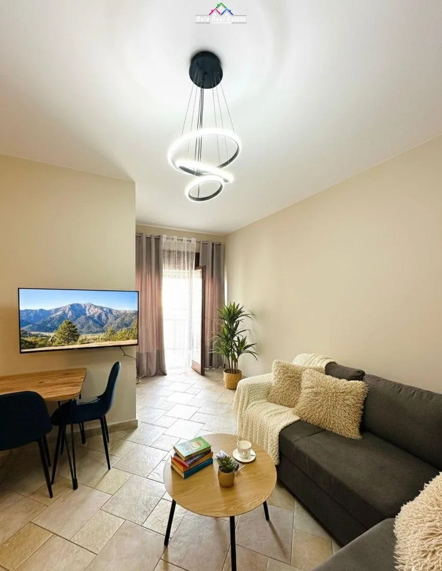 Apartament Me Qera 1+1 ne Qender (ID B2101068) Tirane.