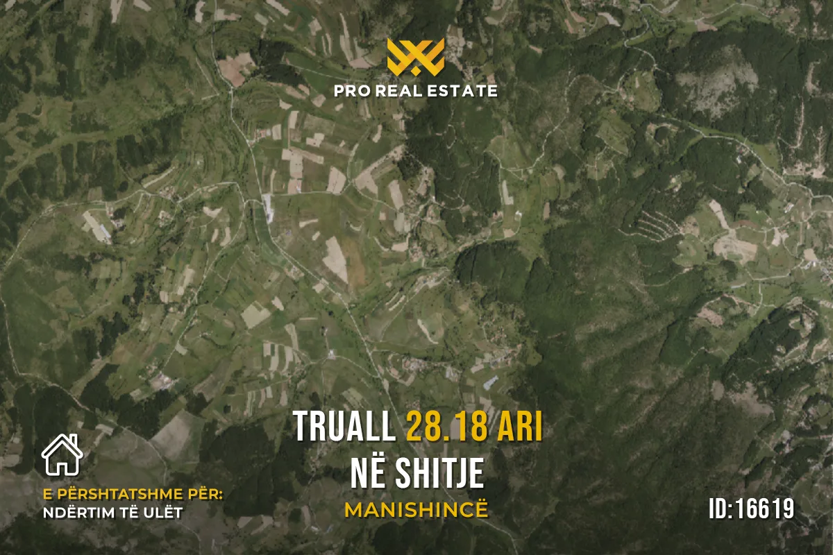 Truall 28.18 Ari për #SHITJE në Manishincë