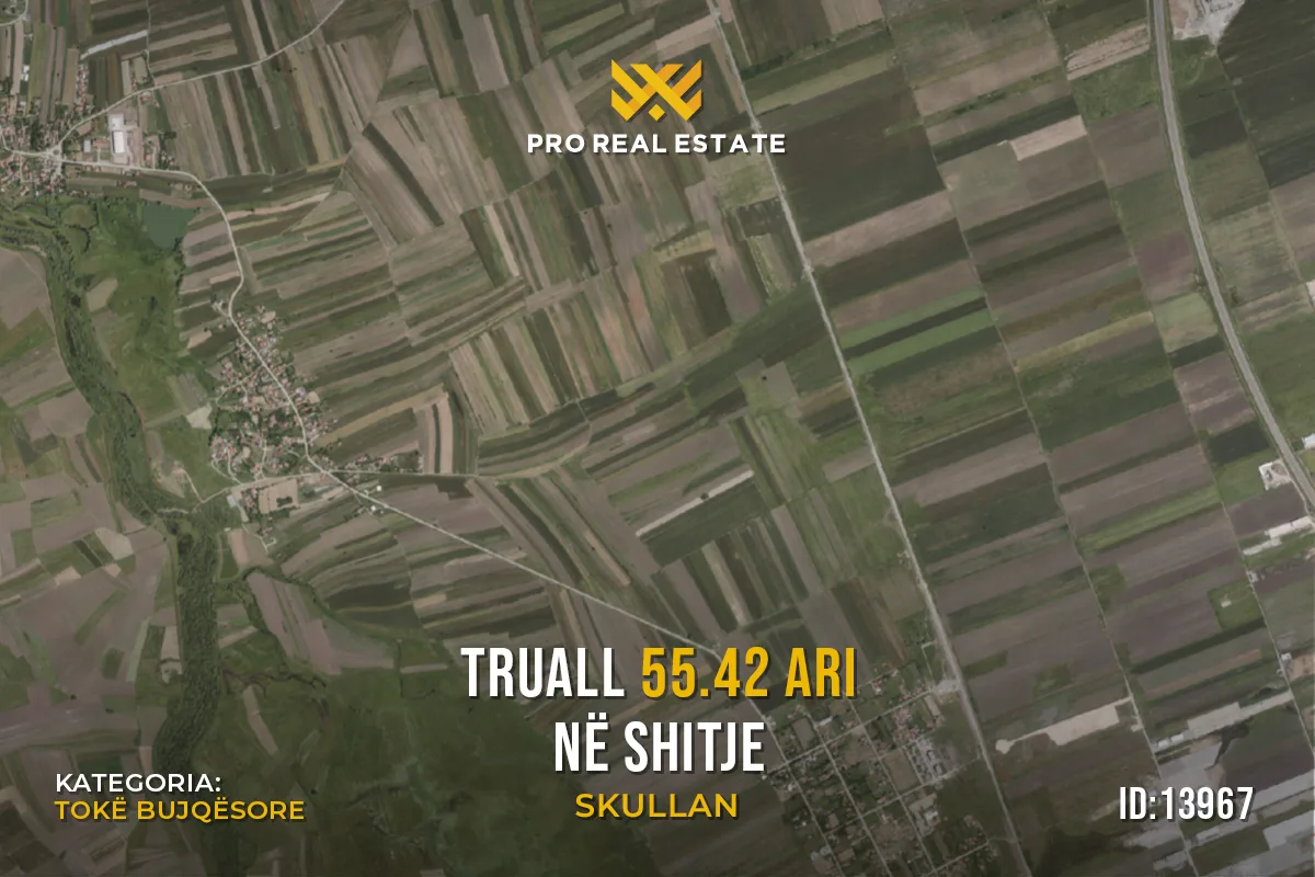 Truall 55.42 Ari për #SHITJE në Skullan