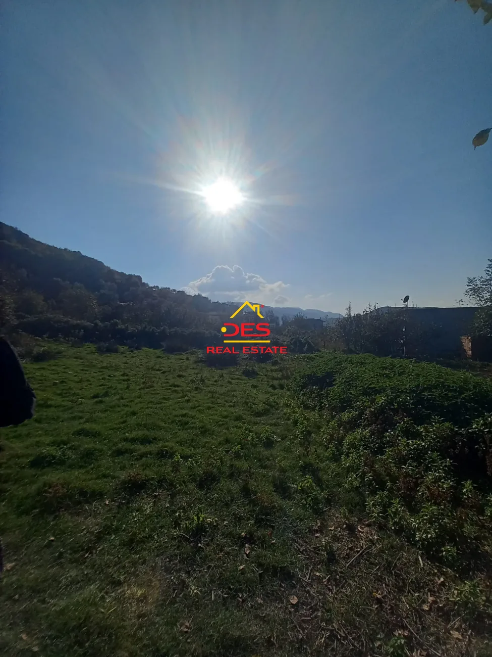 SHITET TOKË – PEMËTORE NË PESHKËPI ,VLORË. 📍 Pranë rrethrrotullimit