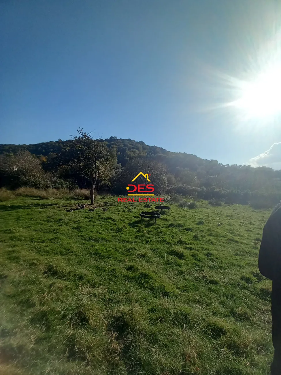 SHITET TOKË – PEMËTORE NË PESHKËPI ,VLORË. 📍 Pranë rrethrrotullimit