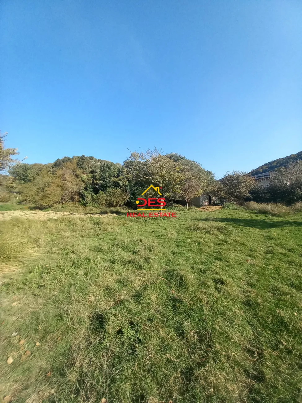 SHITET TOKË – PEMËTORE NË PESHKËPI ,VLORË. 📍 Pranë rrethrrotullimit