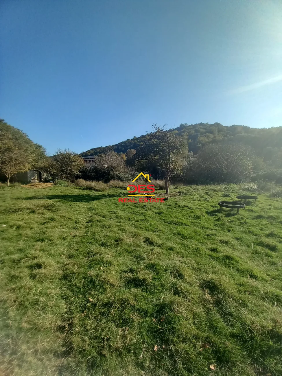 SHITET TOKË – PEMËTORE NË PESHKËPI ,VLORË. 📍 Pranë rrethrrotullimit