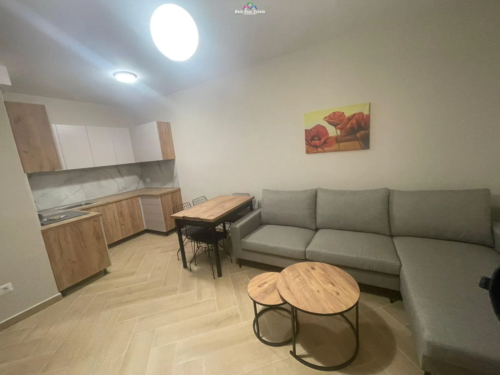 Apartament Me Qera 1+1 Tek Shkolla Baletit (ID B210934) Tirane.