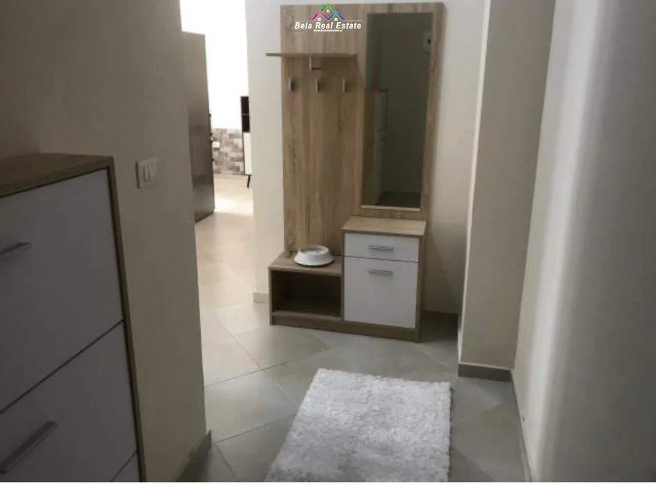 Apartament Me Qera 1+1 Ne Fresk (ID B210883) Tirane.