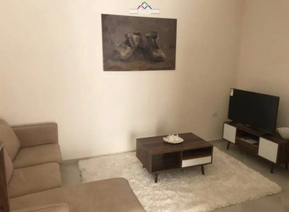Apartament Me Qera 1+1 Ne Fresk (ID B210883) Tirane.