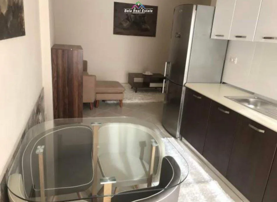 Apartament Me Qera 1+1 Ne Fresk (ID B210883) Tirane.