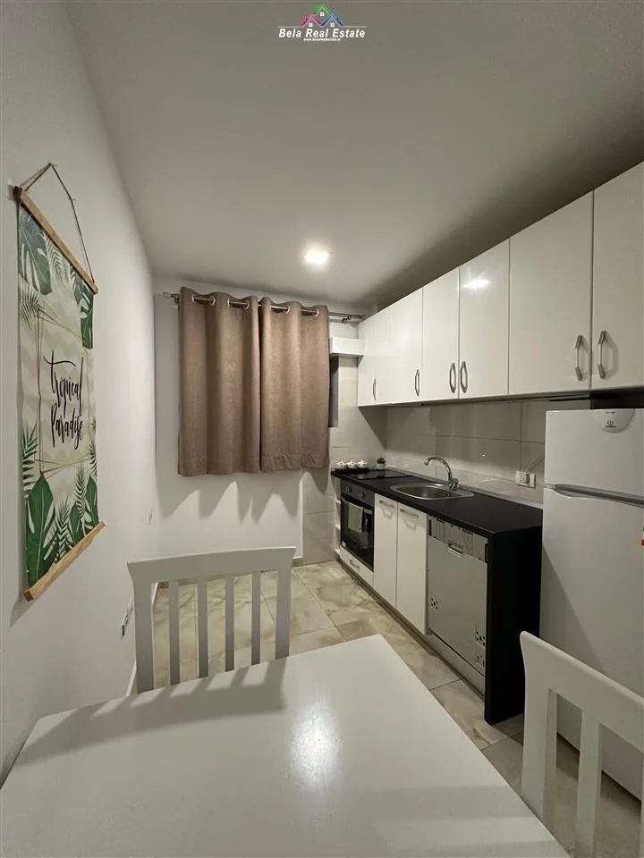 Apartament Me Qera 1+1 Ne Vasil Shanto (ID B211240) Tirane
