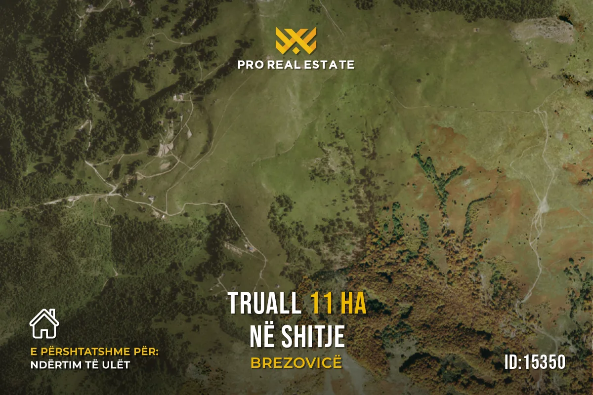 Truall 11 Ha për #SHITJE në Brezovicë