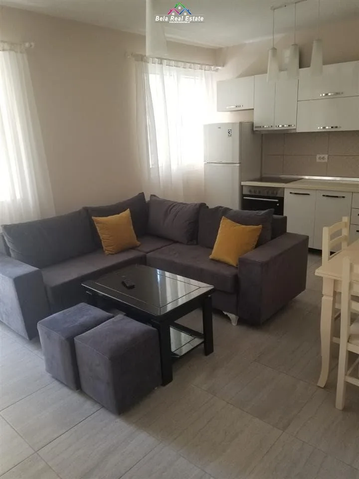 Apartament Me Qera 1+1 Prane Rruges Bardhyl (ID B211312) Tirane