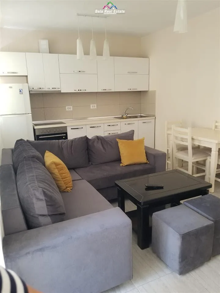 Apartament Me Qera 1+1 Prane Rruges Bardhyl (ID B211312) Tirane