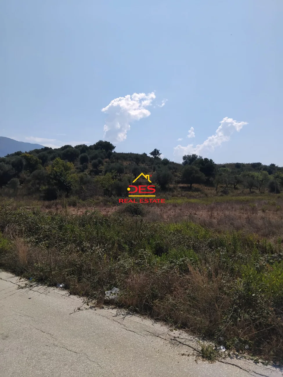 Shitet tokë – ullishte në tragjas, vlorë.