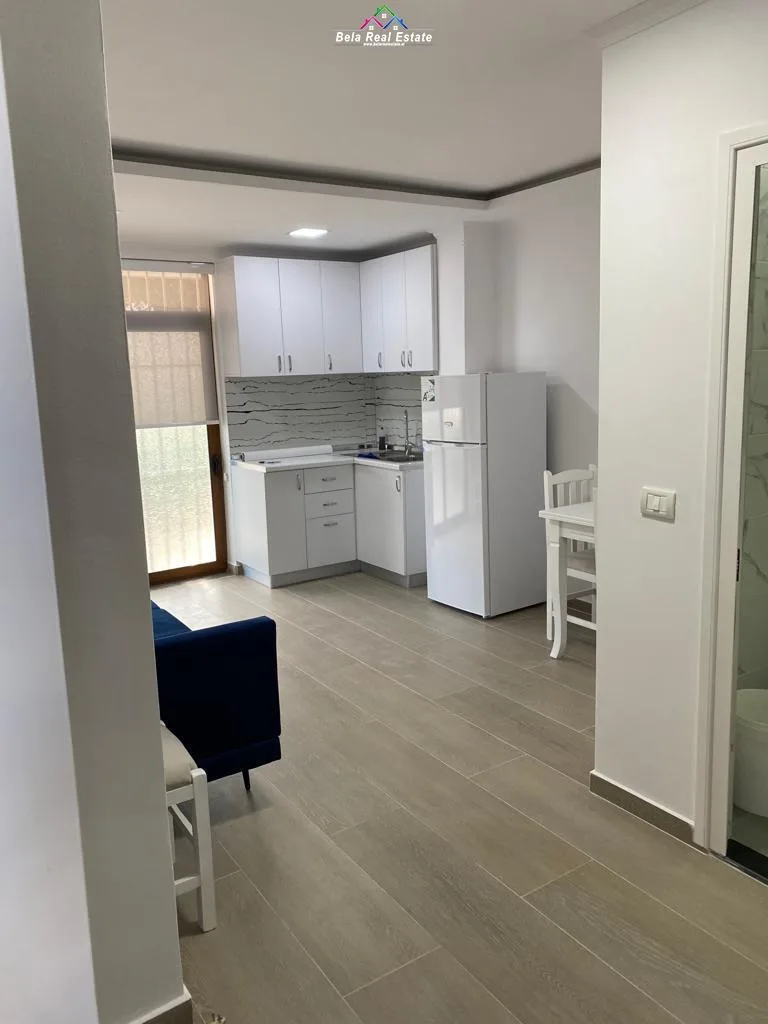 Apartament me qera 1+1 Ne Allias (ID B211246) Tirane.