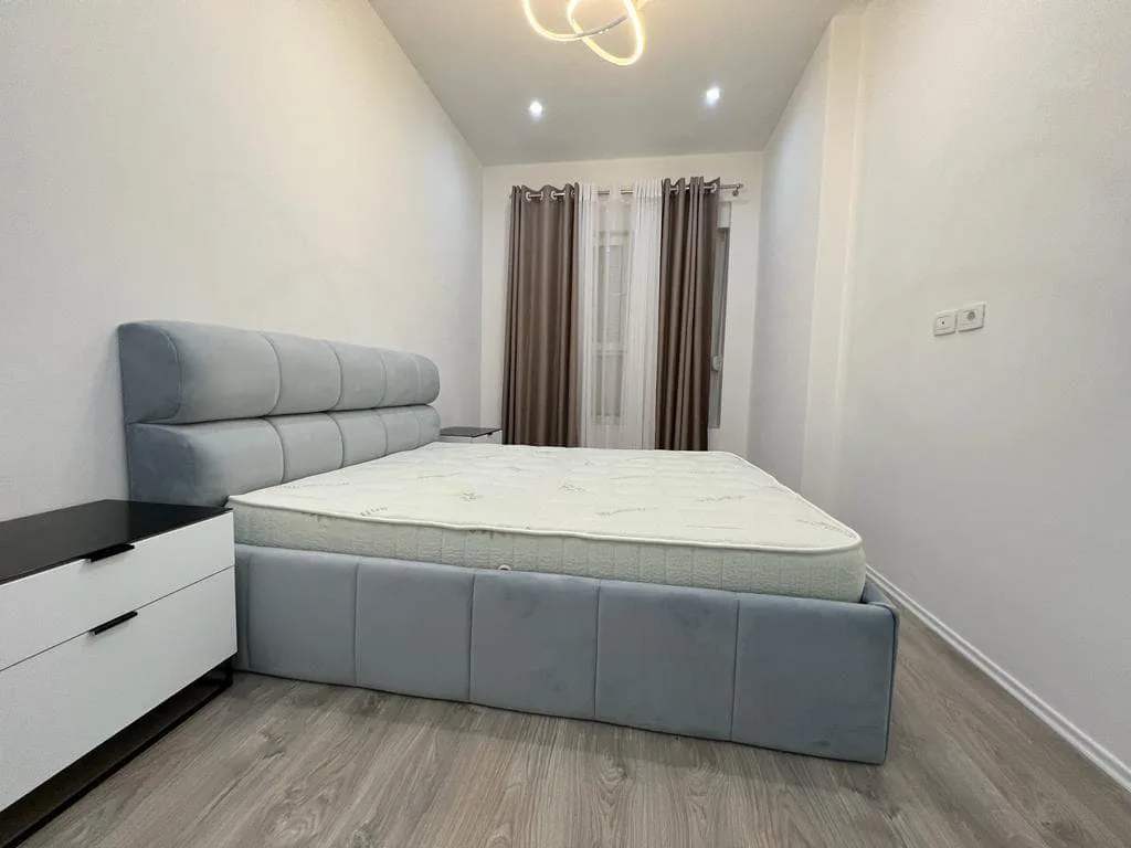 Apartament 2+1 Me Qera Tek Ali Demi (ID B220393) Tirane.