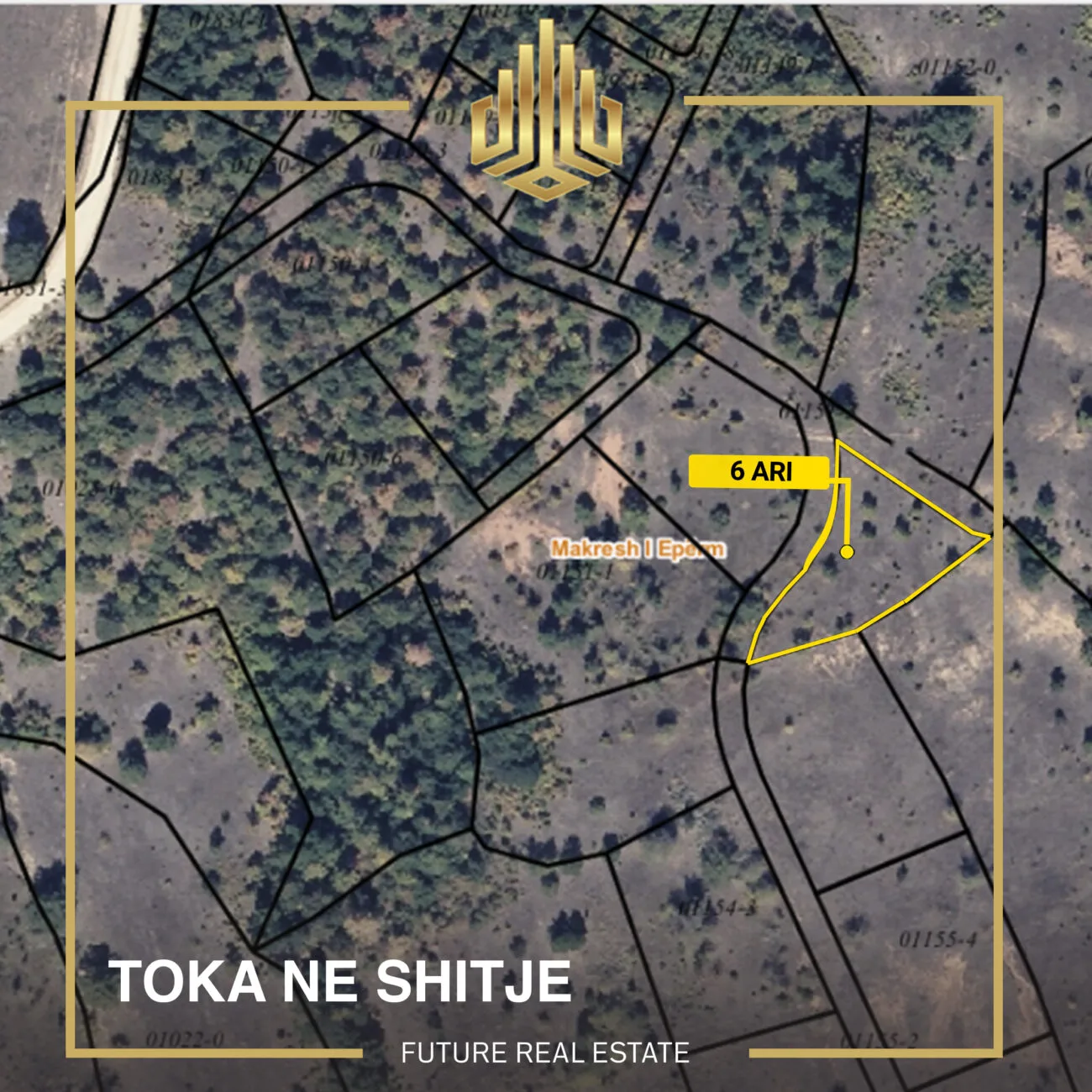 Tokë në SHITJE/6 Ari